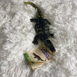 The Carnegie Collection Alligator